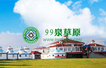 內蒙古網站建設,99泉草原度假村微官網